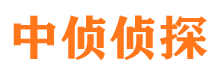 江阳侦探公司